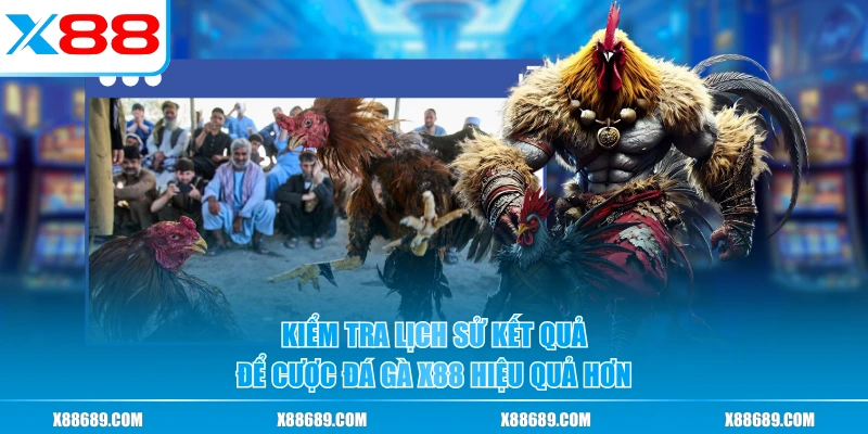 Kiểm tra lịch sử kết quả để cược đá gà X88 hiệu quả hơn